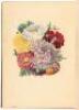 Flora's Dictionary - 4