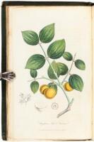 Medical Botany: Or, History of Plants in the Materia Medica of the London, Edinburgh, & Dublin Pharmacop&aelig;ias Arranged According to the Linn&aelig;n System