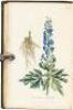 Medical Botany: Or, History of Plants in the Materia Medica of the London, Edinburgh, & Dublin Pharmacop&aelig;ias Arranged According to the Linn&aelig;n System - 3