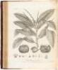 Silva: or, a Discourse of Forest-Trees, and the Propagation of Timber in His Majesties Dominions As it was Delivered in the Royal Society, on the 15th of October 1662, together with An Historical Account of the Sacredness and Use of Standing Groves, to wh - 3