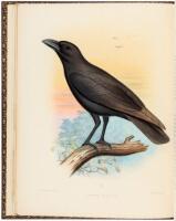 Aves Hawaiienses: The Birds of the Sandwich Islands