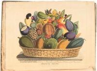 Sketches towards a Hortus Botanicus Americanus; or, coloured plates (with a catalogue and descriptions of many species) of new and valuable plants of the West Indies and North and South America...