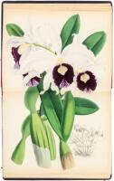 The Orchid Album, Comprising Coloured Figures and Descriptions of New, Rare, and Beautiful Orchidaceous Plants.