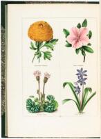 The Botanic Garden; Consisting of Highly Finished Representations of Hardy ornamental Flowering Plants, Cultivated in Great Britain; with Their Names, Classes, Orders, History, Qualities, Culture, and Physiological Observations