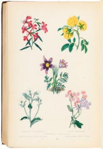 The Botanic Garden; Consisting of Highly Finished Figures of Hardy Ornamental Flowering Plants Cultivated in Great Britain...