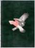 Australian Parrots - 4