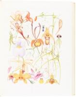 Orchidaceae