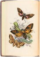 The Genera and Species of British Butterflies [&] The Genera of British Moths