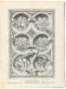 The Baronial and Ecclesiastical Antiquities of Scotland - 4