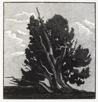 California in Relief. Thirty Wood Engravings by Richard Wagener