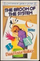 The Broom of the System