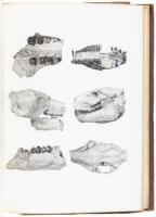 Illustrations to the Geological Report of Wisconsin, Iowa, and Minnesota