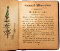 Botanical Illustrations of the Twenty-four Classes in the Linnaean System of Vegetables, by Select Specimens of English Plants