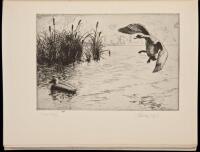Bishop's Birds. Etchings of Water-Fowl and Upland Game Birds