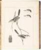 Reports of Explorations and Surveys, to Ascertain the Most Practicable and Economical Route for A Railroad from the Mississippi River to the Pacific Ocean. Made Under the Direction of the Secretary of War, in 1853-54... - 6