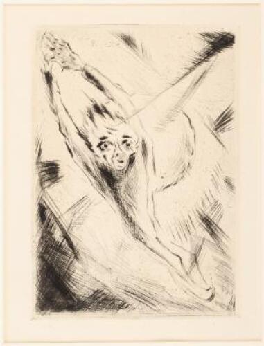 Aufschrei (The Scream)
