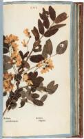 Herbier Forestier, ou Collection des esp&egrave;ces d'arbres et arbrisseaux qui composent les for&ecirc;ts... D&eacute;di&eacute; et pr&eacute;sent&eacute; au Roi. Par J.-B. Duchesne Fils, Jardinier en chef de Sa Majast&eacute;