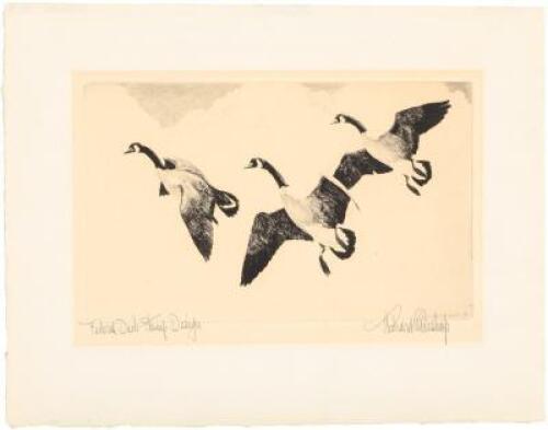 Original etching of 1936 Federal Duck Stamp Design