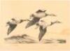 Canvasbacks - original lithograph