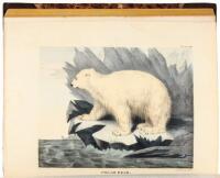 The Cabinet of Natural History and American Rural Sports
