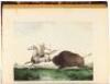 The Cabinet of Natural History and American Rural Sports - 7