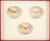 Trout Flies: Proven Patterns - 2
