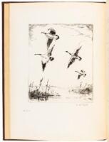 The Bird, the Gun and the Dog