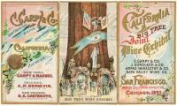 California Big Tree Joint Wine Exhibit: C. Carpy & Co., J. Gundlach & Co., Arpad Haraszthy & Co., Napa Valley Wine Co. San Francisco World's Columbian Exposition, Chicago, 1893