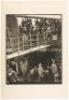 The Steerage