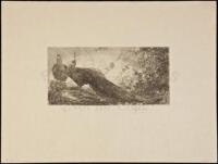 "Peacocks" (oblong plate) - Etching