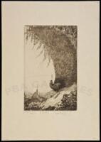 "Peacocks" (upright plate) - Etching