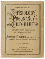 Anatomy and Physiology of the Female Generative Organs and of Pregnancy