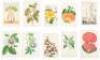 Approximately 110 miscellaneous colored botanical plates