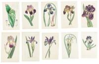 Approximately 150 hand-colored botanical plates from Curtis' Botanical Magazine or similar Curtis publications