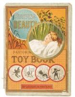 Sleeping Beauty. Pantomime Toy Book