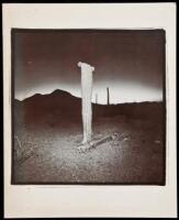 Richard Misrach 1979