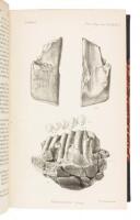 Method of Indexing Finger-Marks [in Proceedings of the Royal Society of London, Vol. xlix, pp. 550-548]