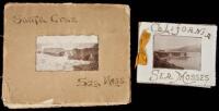 Two home-made scrap books containing dried, pressed California sea moss