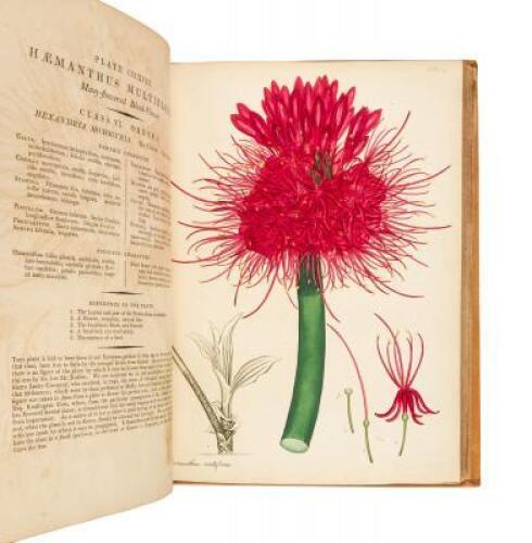 The Botanist's Repository for New, and Rare Plants - Volumes IV & V