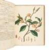 The Botanist's Repository for New, and Rare Plants - Volumes IV & V - 5