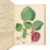 The Botanist's Repository for New, and Rare Plants - Volumes IV & V - 7