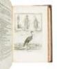 The Natural History of Animals, Containing the Anatomical Description of Several Creatures Dissected by the Royal Academy of Sciences at Paris. Wherein The Construction, Fabrick and Genuine Use of the Parts, are Exactly and Finely Delineated in Copper Pla - 8