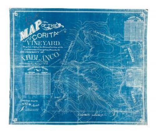 Map of the Corita Vineyard: Being Lots 3 & 4 of the Briones Partition of the La Purissima Conception Rancho, the Property of A.P. Blanco. Surveyed in Feb. & Mar., 1905, by Curtis M. Barker, Surveyor & C.E., San Jose, Cal.