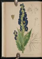 Medicinal Plants, Being Descriptions with Original Figures of the Principal Plants Employed in Medicine