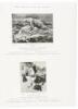 Raphael Tuck & Sons' Art Publications: Engravings, etchings, photogravures, facsimiles & photochromes (wrapper title) - 2