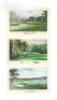 Large collection of 34 limited edition prints of famous golf holes - 9