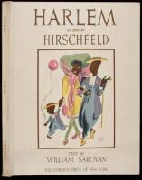 Harlem as Seen by Hirschfield