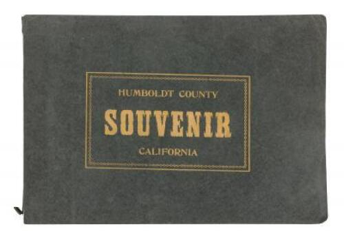 Humboldt County Souvenir: Being a frank, fair, and accurate exposition, pictorially and otherwise, of the resources, industries, and possibilities of this magnificent section of California