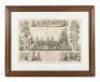 The Mammoth Tree Grove, Calaveras County California. Lapham & Haynes prop.rs Sketched from nature by T.A. Ayres