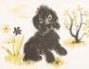 The Poodle and the Sheep - 6
